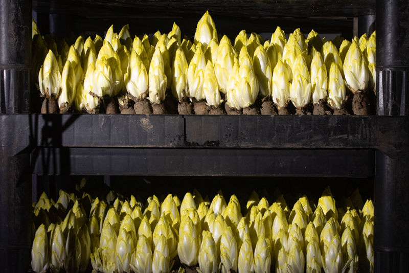 MTS Nieuw Bonaventura